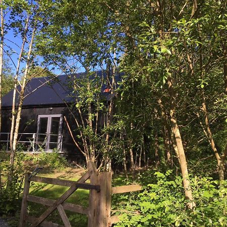Alder Cabin Kilkenny Zewnętrze zdjęcie