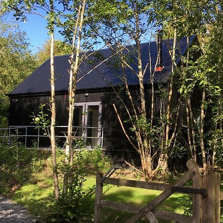 Alder Cabin Kilkenny Zewnętrze zdjęcie