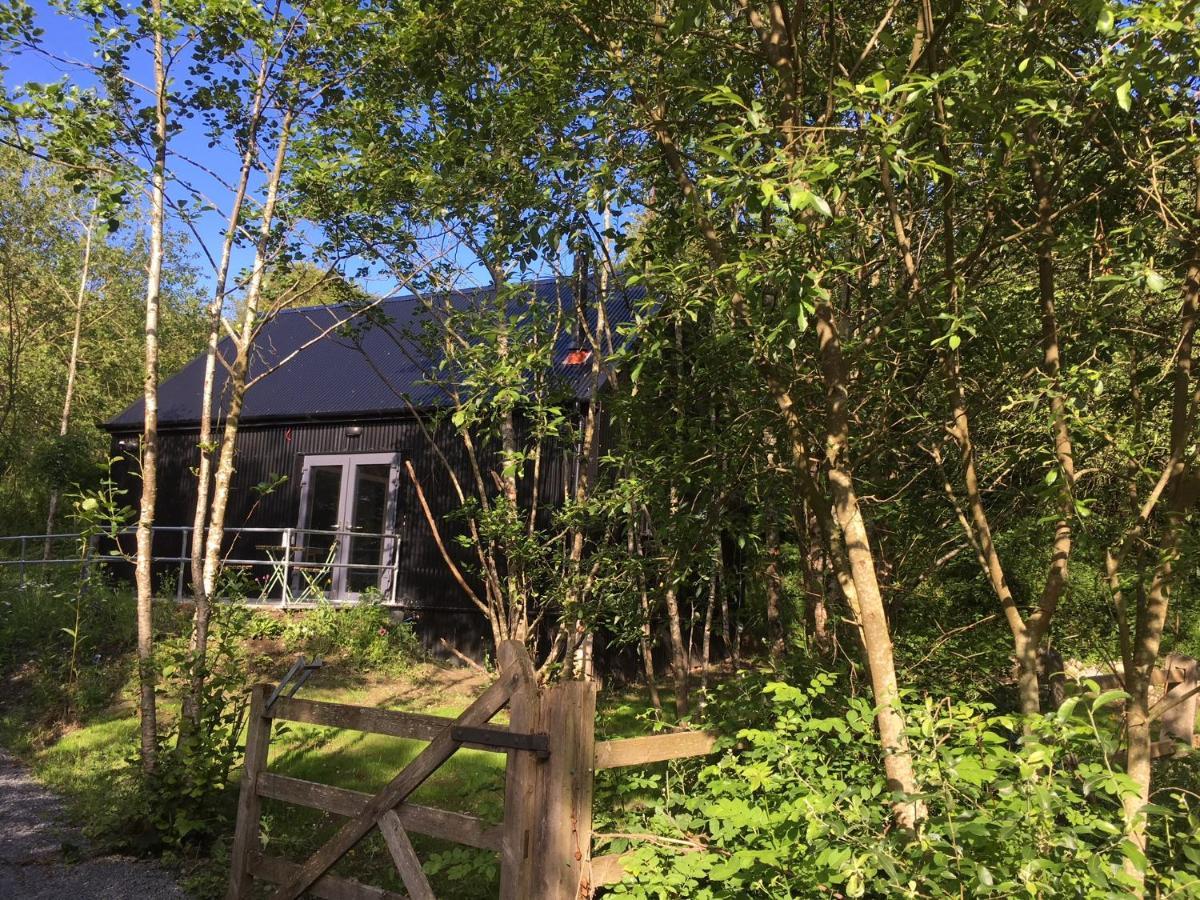 Alder Cabin Kilkenny Zewnętrze zdjęcie