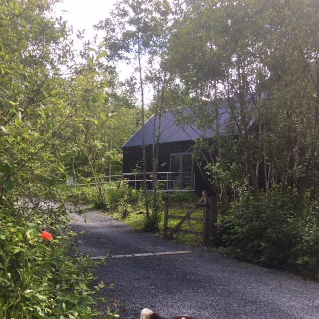 Alder Cabin Kilkenny Zewnętrze zdjęcie