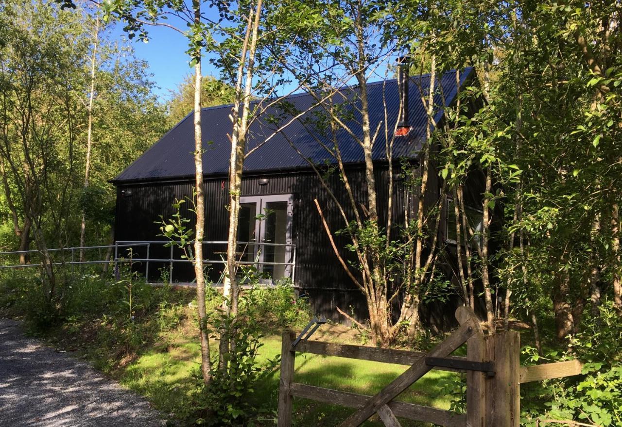 Alder Cabin Kilkenny Zewnętrze zdjęcie